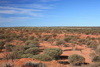 Lunch stop, Desert Surf Central